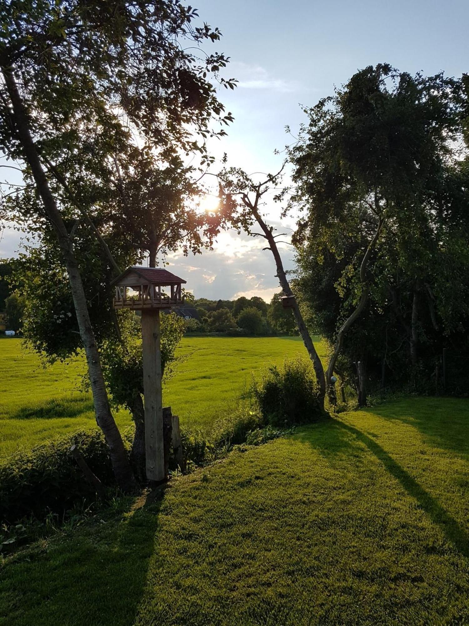 Seeblick- Noer Bagian luar foto
